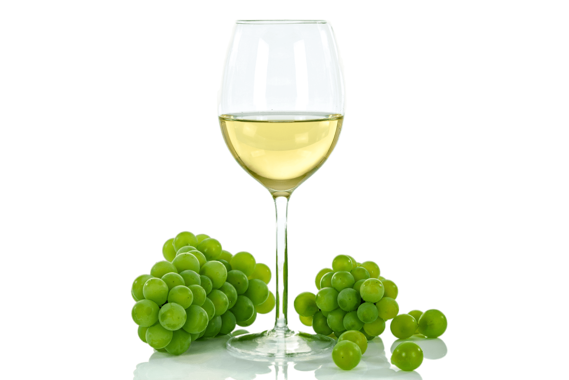 Festival vina - MoslaVina Kutina, vino, grožđe, čaša vina